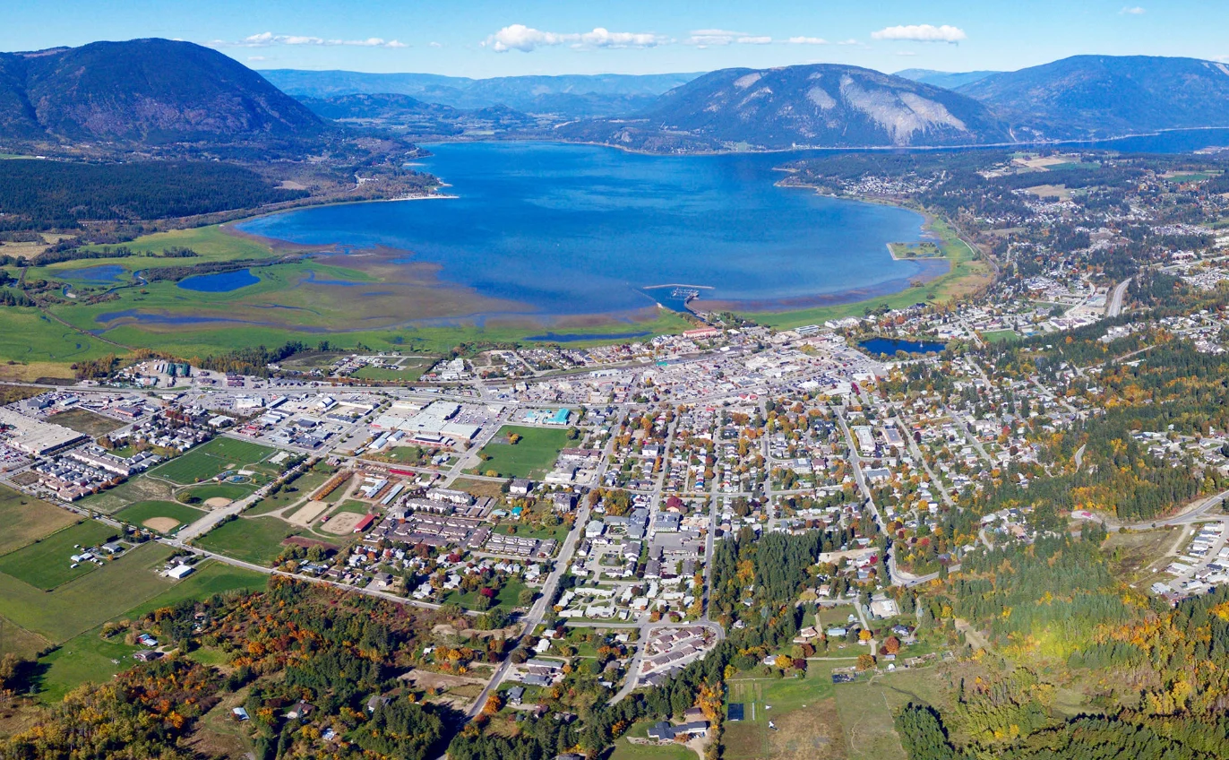 Handyman Handywoman Handyperson Assembly Services Salmon Arm, BC